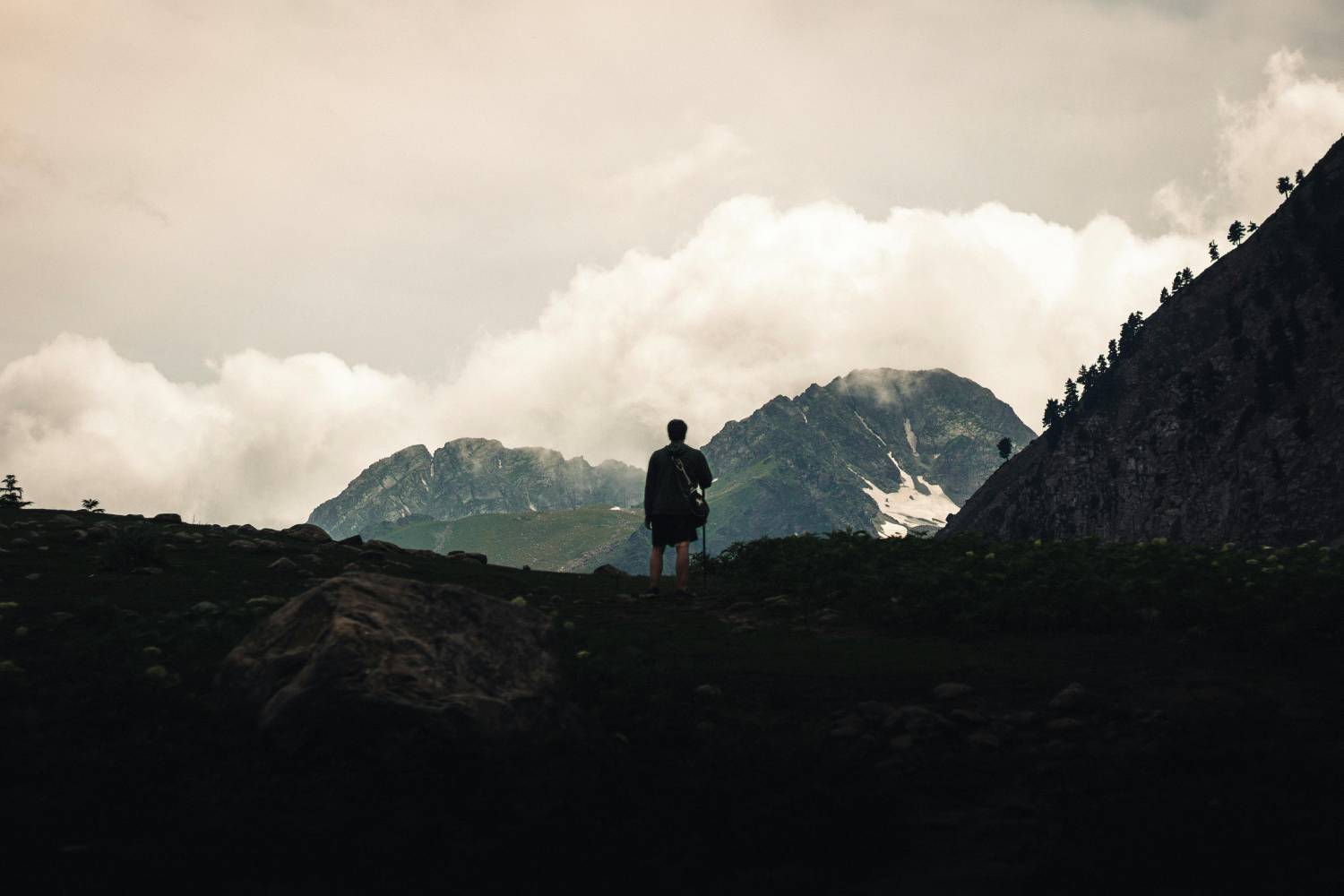 a man standing on top of a lush green hillside