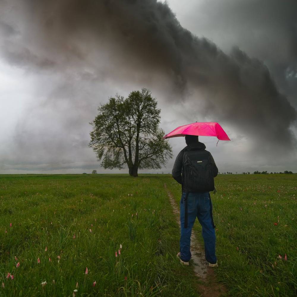 a person stands in a field with a pink umbrella, facing an ominous stormy sky