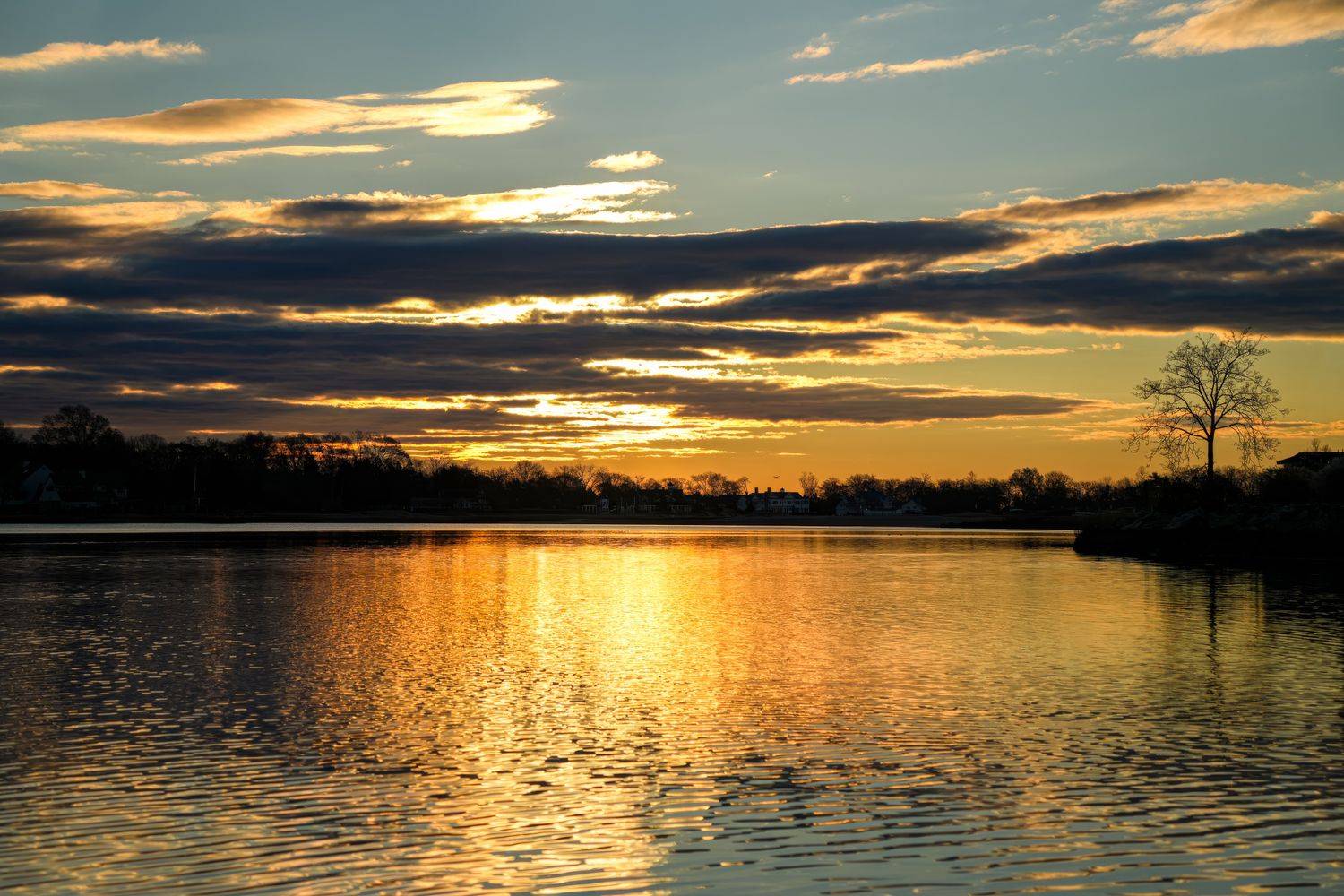 Sunset over a calm lake with golden light reflecting on the water and silhouetted trees along the shoreline.